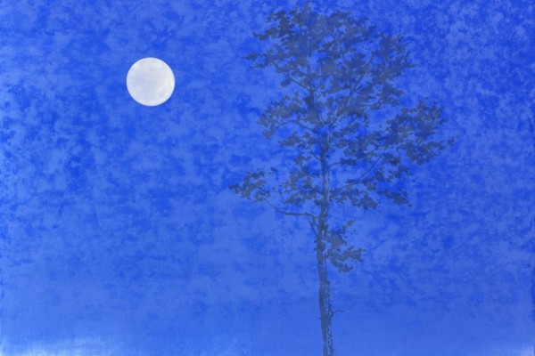 애정하다, 80X100cm, 종이에 수묵과 채색, 2025.jpg