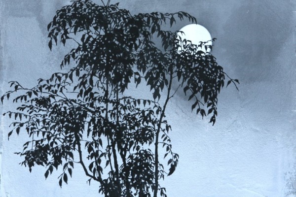 그리움, 61X73cm, 종이에 수묵과 채색, 2025.JPG
